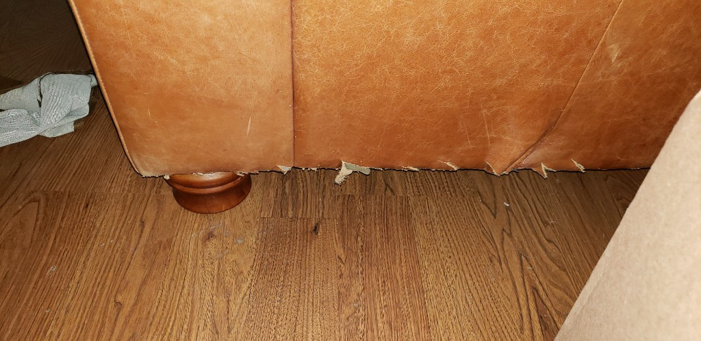 Second photo by Charrice Smith of Sierra Moving and Delivery - Large