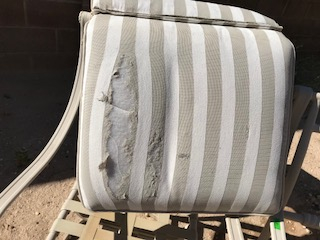 Second photo by Christine Reed of Long Distance Relocation Services - Large