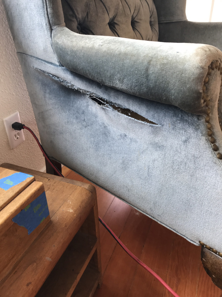 Second photo by Adeline Denniston of New Beginnings Relocation - Large