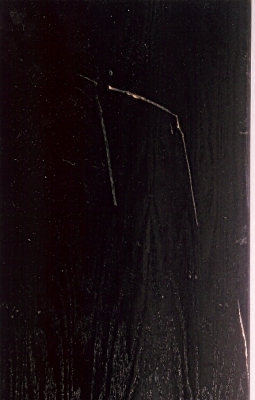 Second photo by C.k of Benny's Moving & Storage - Large