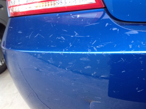 Photo by Janet of Montway Auto Transport - Large