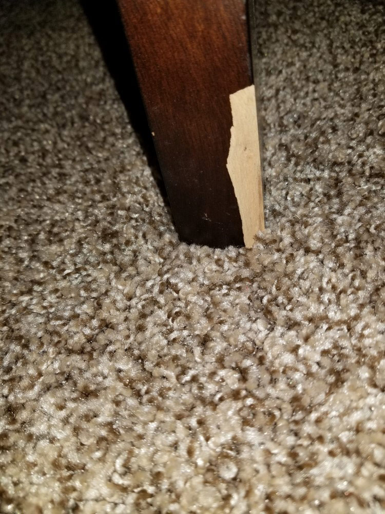 Second photo by Danielle of Mighty Movers Inc - Large