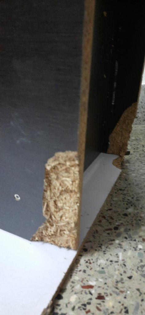 Photo by Ramesh Sharma of Bharat Packers and Movers - Large