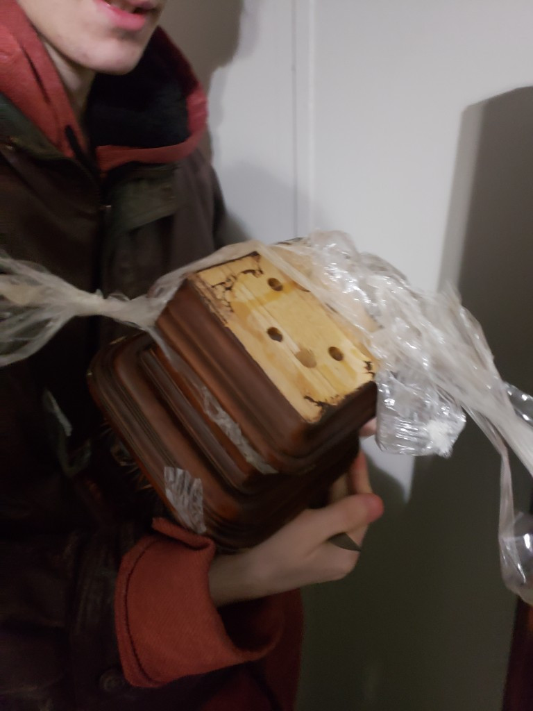 Photo by Rachel Lincoln of Geo Van Lines - Large