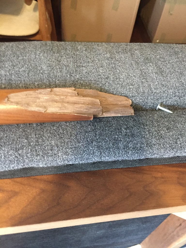 Photo by Regina Elizabeth of Shleppers Moving & Storage - Large