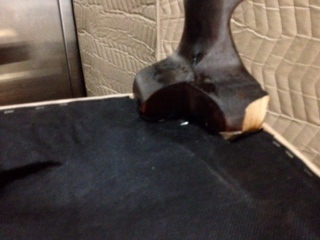 Second photo by John Hanna of First Choice Moving and Storage - Large