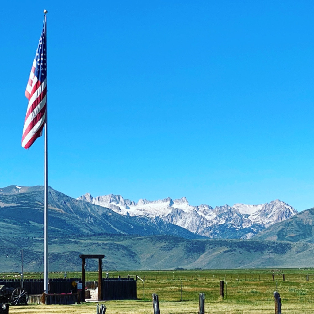 Photo by Christopher Lopez of Fidelity Van Lines Inc - Large