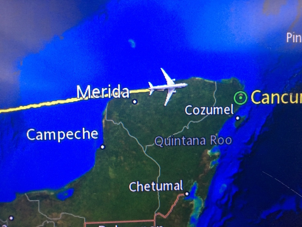 Photo by Rosanna Anderson of Stevens International LLC - Large