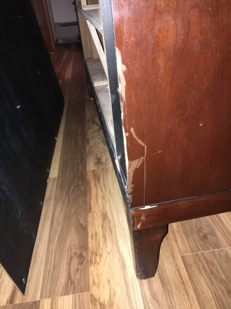 Photo by Reyna of Your Moving Company - Large