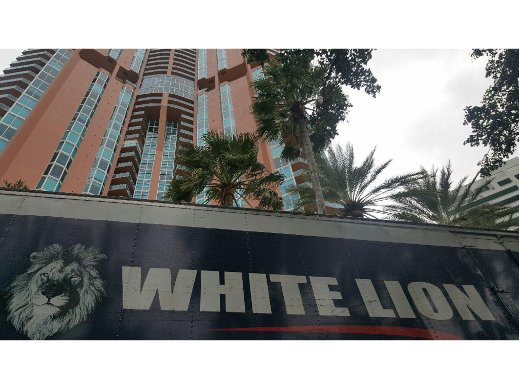 Second photo by Mischelle Smith of White Lion Moving & Storage - Large