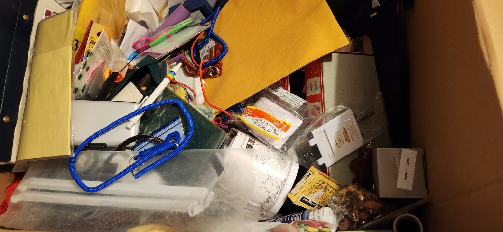 Photo by Irene Leung of Trans Moving - Large