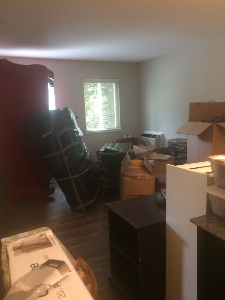 Second photo by Shellon Lorrimer of Long Distance Movers Inc. - Large