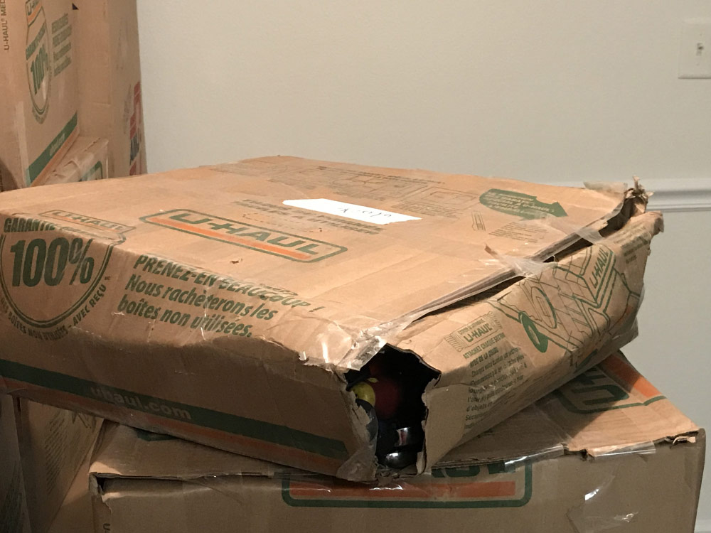 Photo by Jennifer Oneil Burdick of We Move U - Large