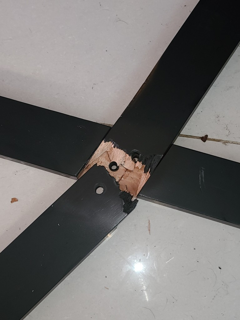 Photo by Carrie Reaves of Mile High Van Lines - Large