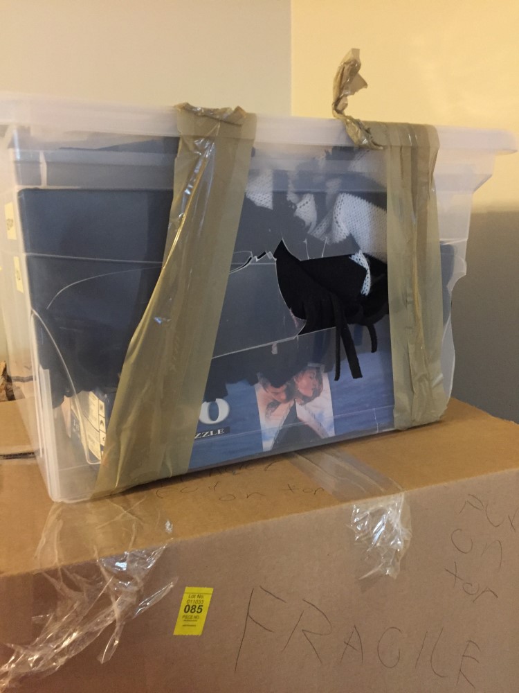 Photo by Chelsea of Trans Canada Movers - Large