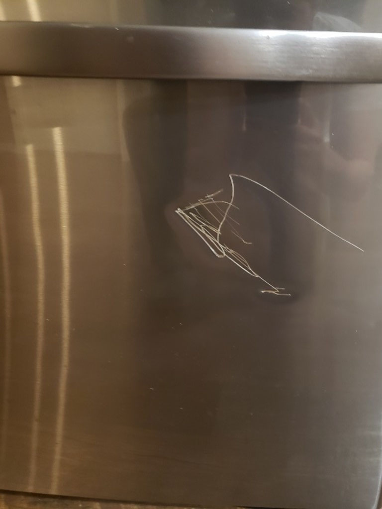 Photo by Mohamed Ismail of Anything Goes Moving - Large