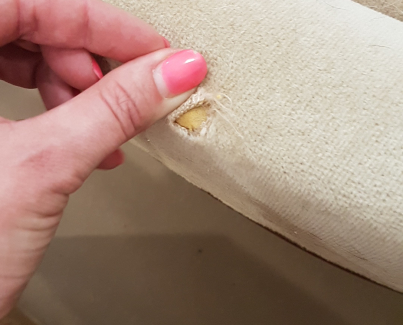 Photo by Mandie C of Metropolitan Movers - Large