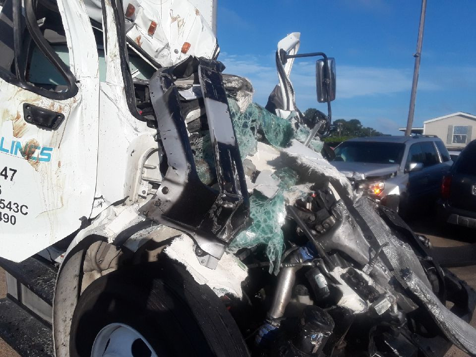 Photo by Jenny Jeong of Geo Van Lines - Large