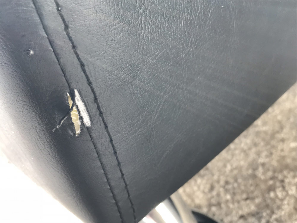 Photo by Satya of American Eagle Moving Company - Large