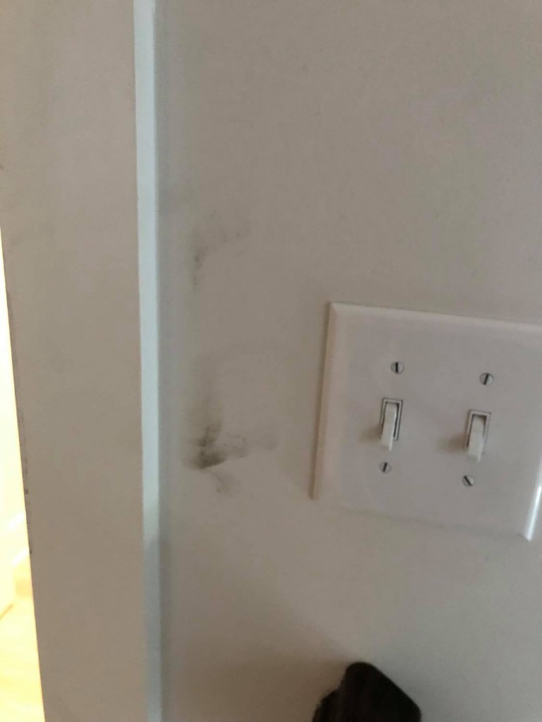 Second photo by Lindey Kvinge of Safe Ship Moving Services - Large