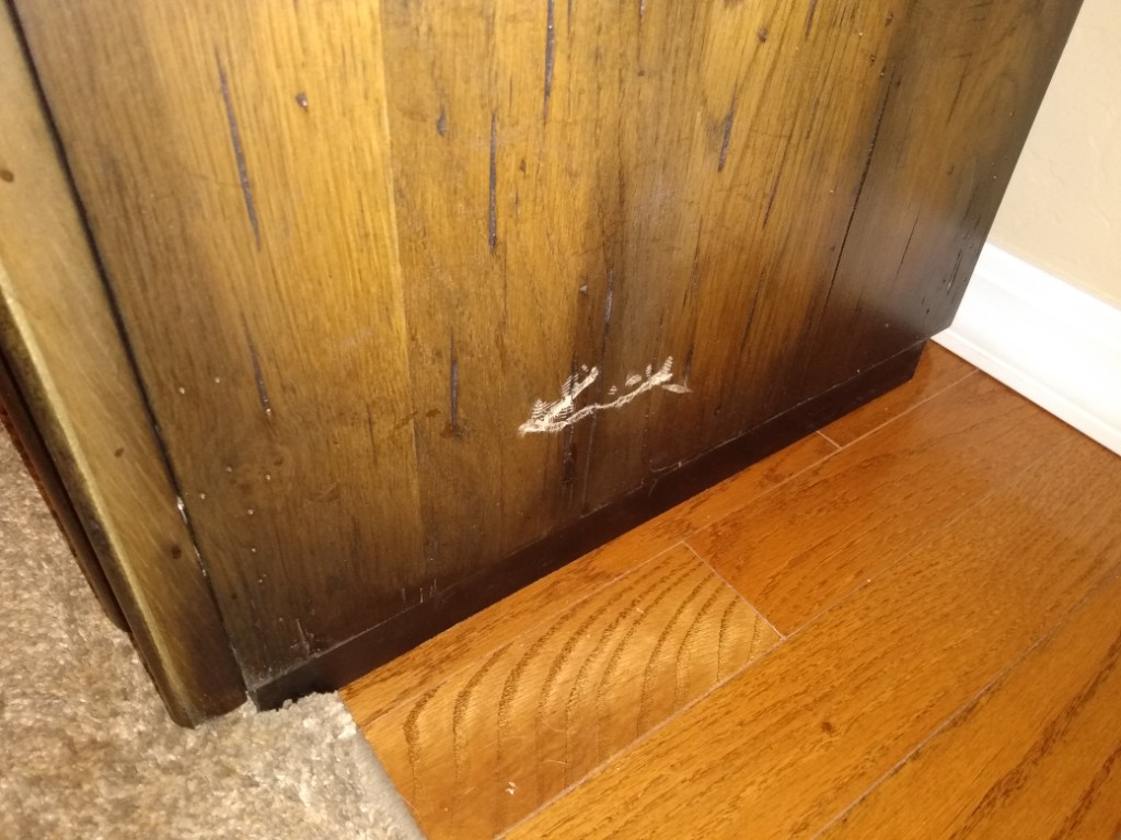 Photo by James Barkin of American Home Relocation - Large