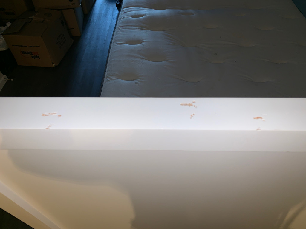 Photo by Anne Hermary of High Level Movers - Large