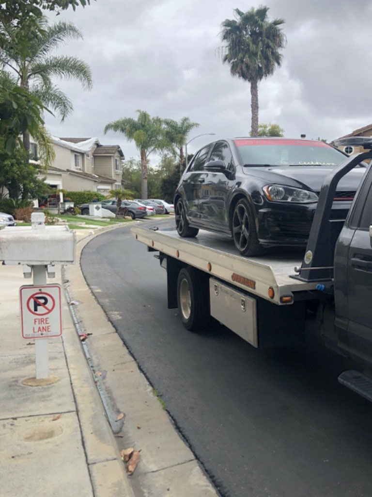 Photo by Christina Carter of Corsia Logistics - Large