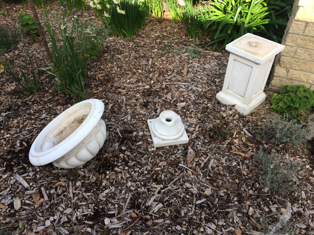 Photo by James Anthony of Whybirds Removals - Large