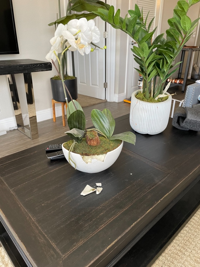 Second photo by Angela Spahr of Gold Standard Moving and Storage LLC - Large