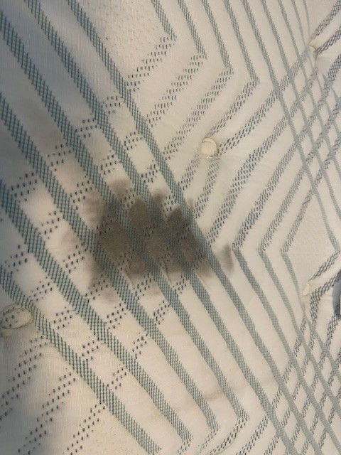 Second photo by Anthony Everhart of Southern Elite Van Lines - Large