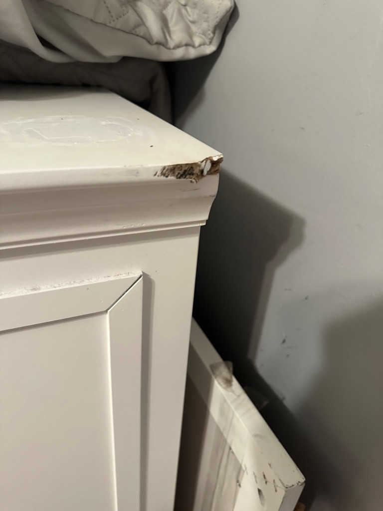 Photo by Amy Adkins of GMR Transport Solutions LLC - Large