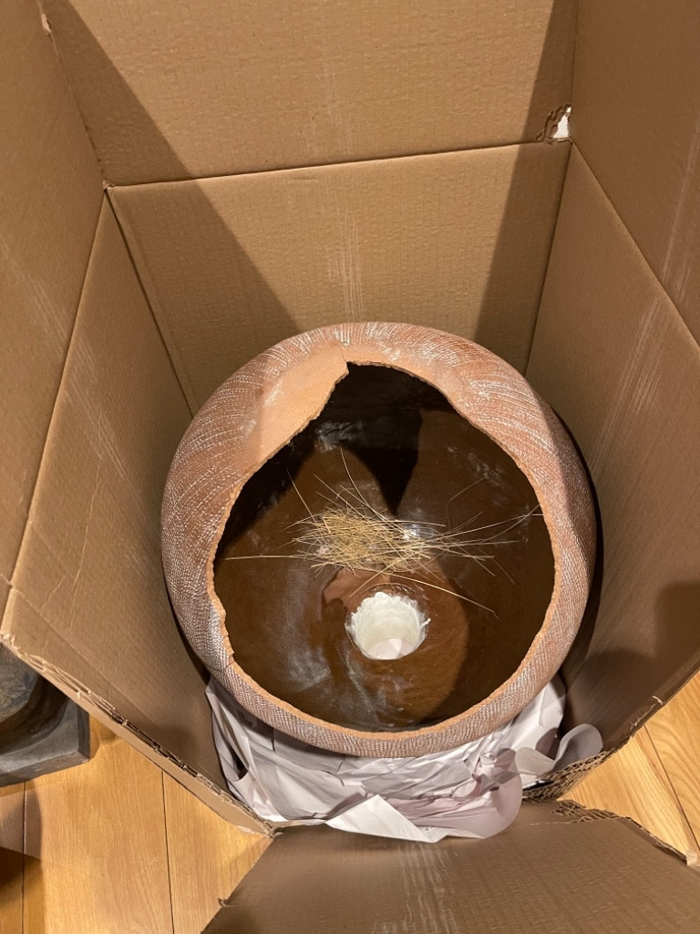 Photo by Daryl Brook of Velocity Moving & Storage - Large