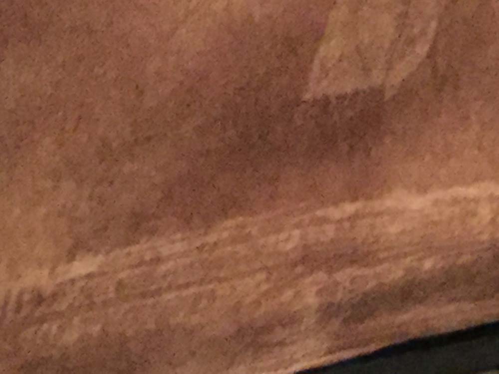 Second photo by Jennifer Back of Real Movers Moving And Storage - Large