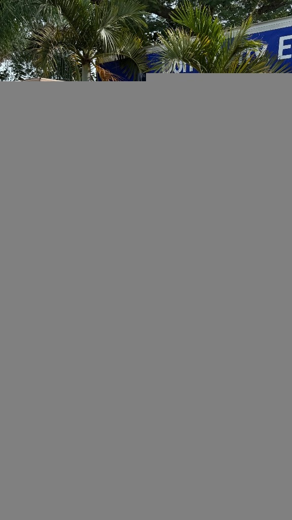 Photo by Paulina Joaristi of Roadway Moving - Large