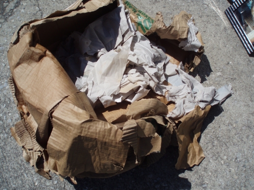 Photo by Lynn & Perry Beal of Virgin Van Lines - Large