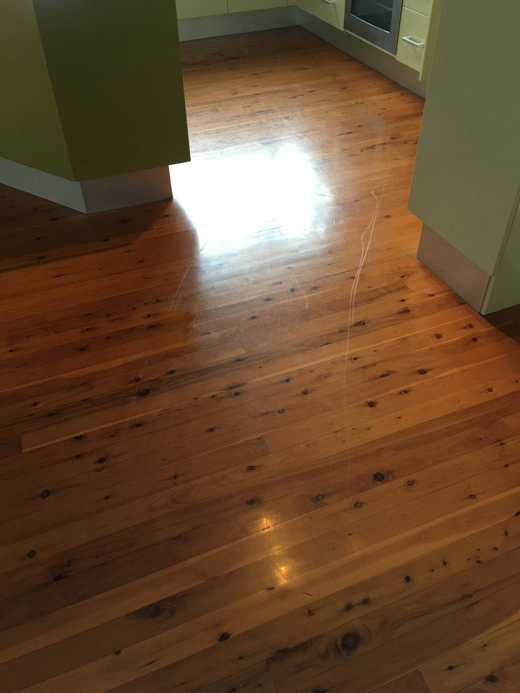 Photo by Chris Lynch of Ready Movers - Large