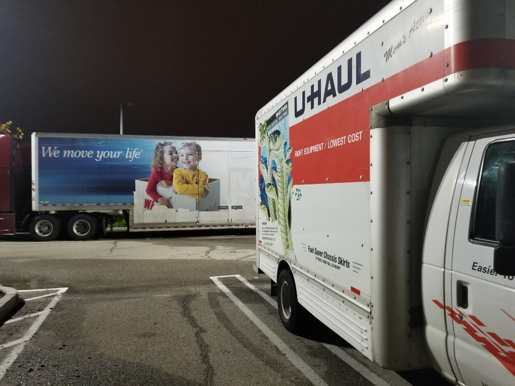 Photo by Tricia Arv of Safeway Moving Inc - Large