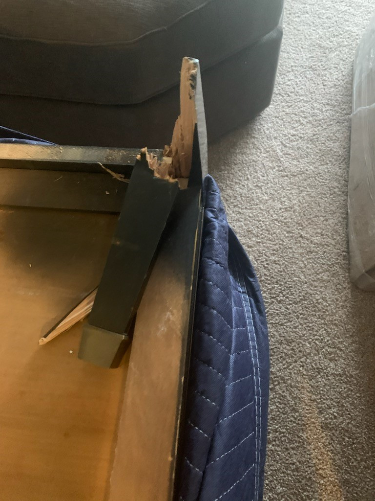 Photo by Tony Brown of United Transportation Moving & Storage - Large