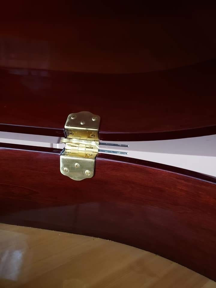 Photo by Sophia Giblin of Trans Van Lines - Large