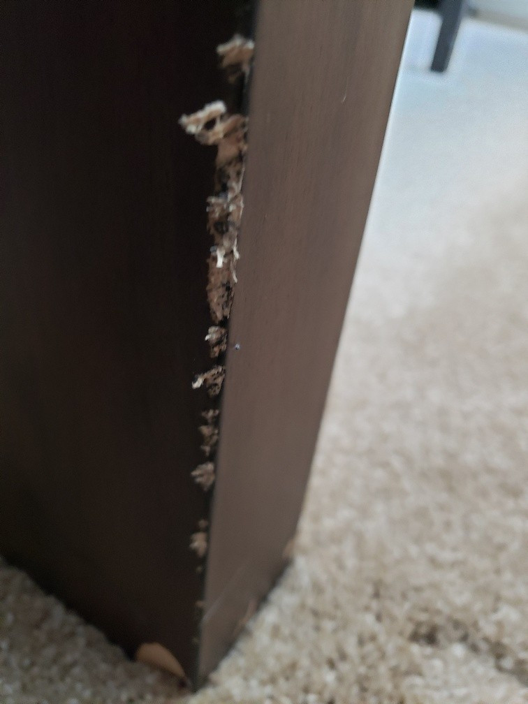 Photo by Donald Greene of Movers on Duty - Large