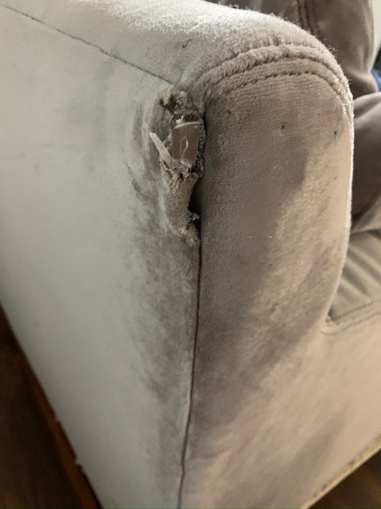 Second photo by Alexandra Mcdonald of Authority Moving Group, LLC - Large