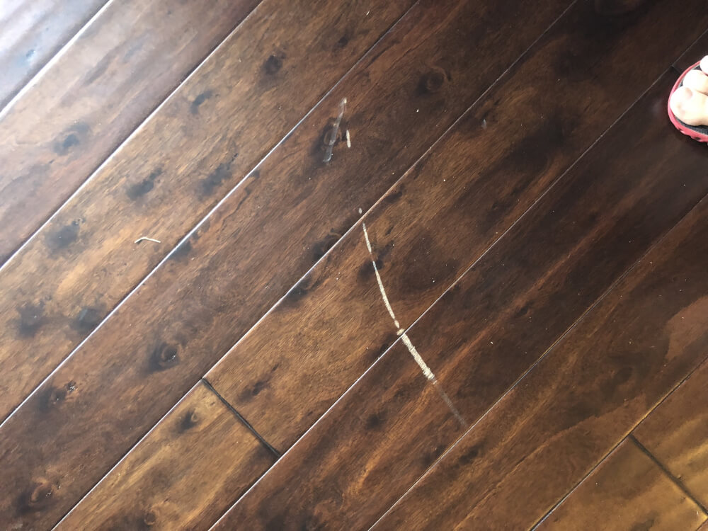 Photo by Roy Head of Alliance Movers Inc. - Large