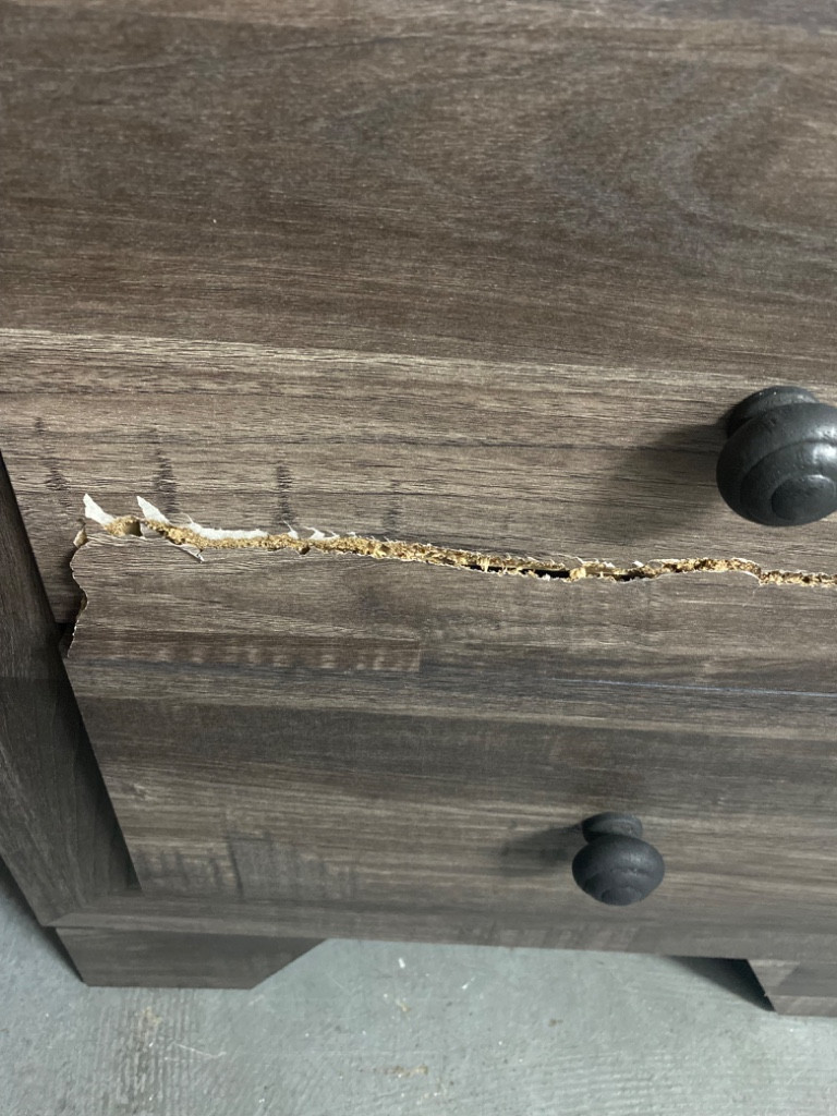 Photo by Kristen Ryan of Rigos Moving Company - Large