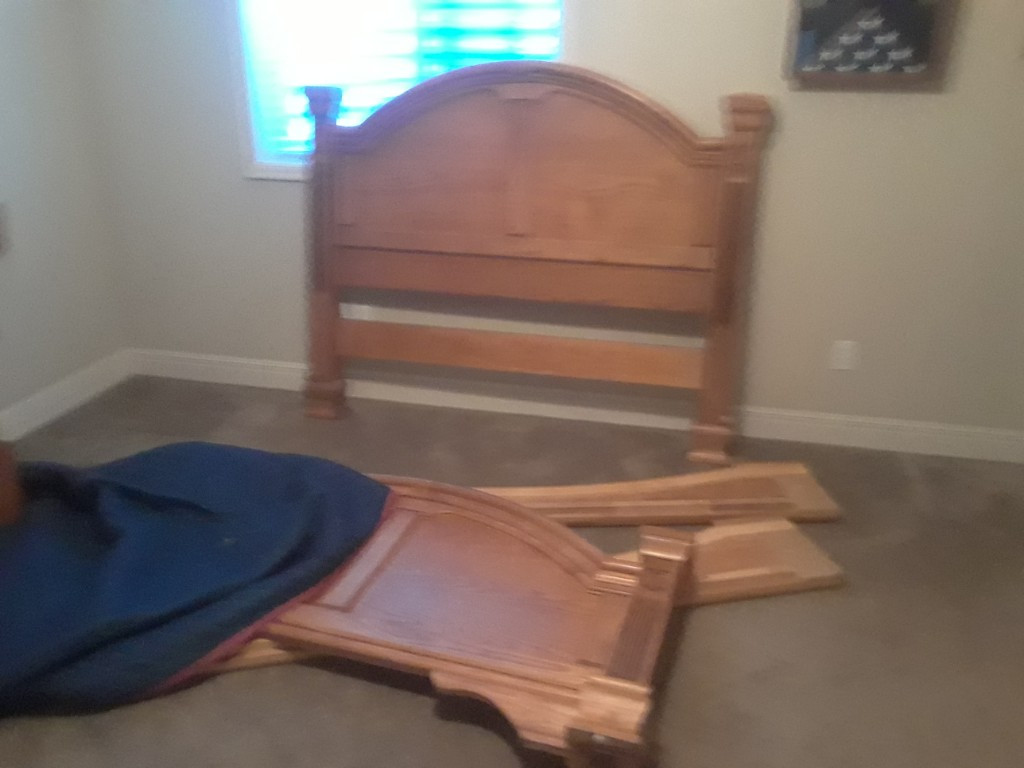 Second photo by Michael S Walter of Sunflower Transit LLC - Large