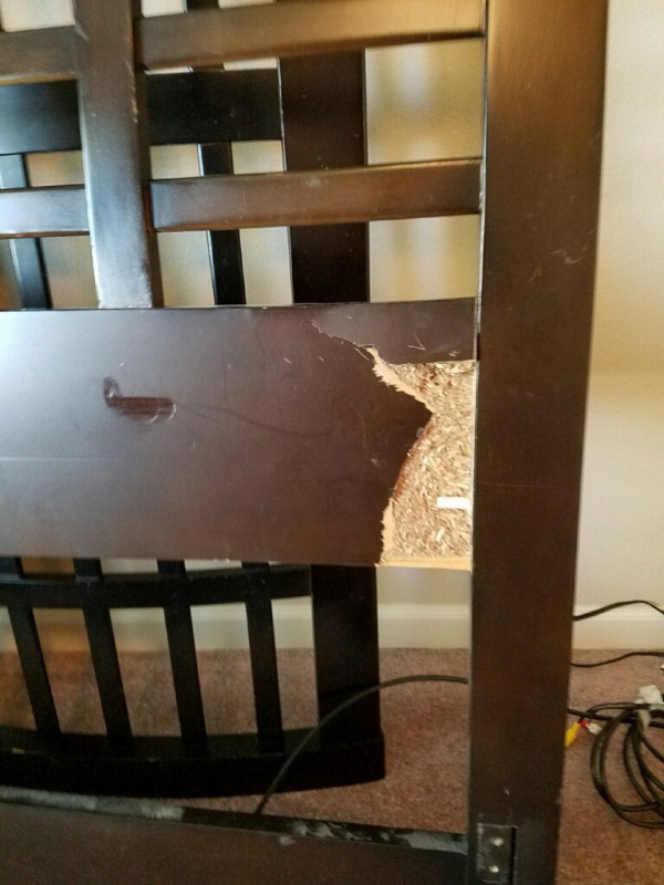 Second photo by David Chamberlain of Transit Moving Systems - Large