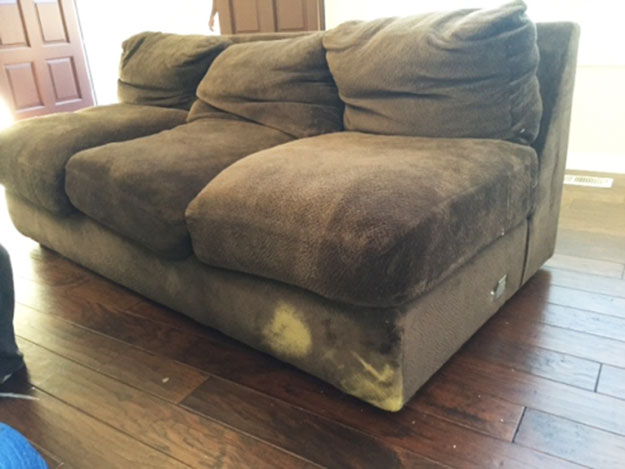 Photo by Kat of New Life Van Lines - Large