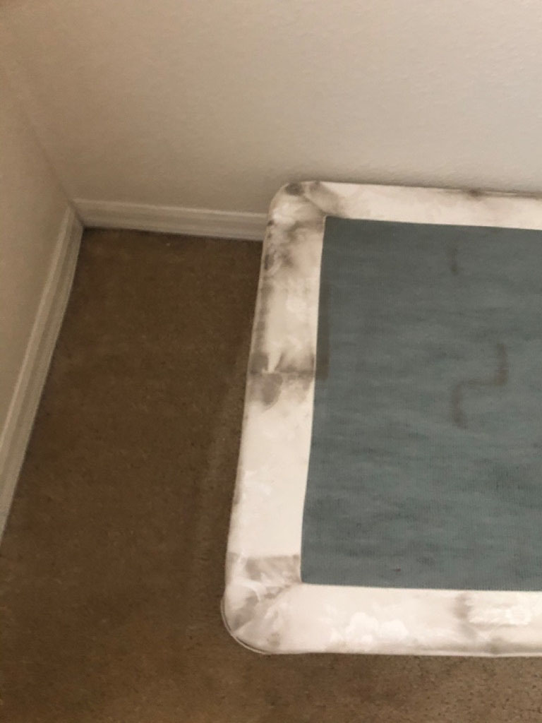 Second photo by Kris Hines of Brooklyn Moving  - Large