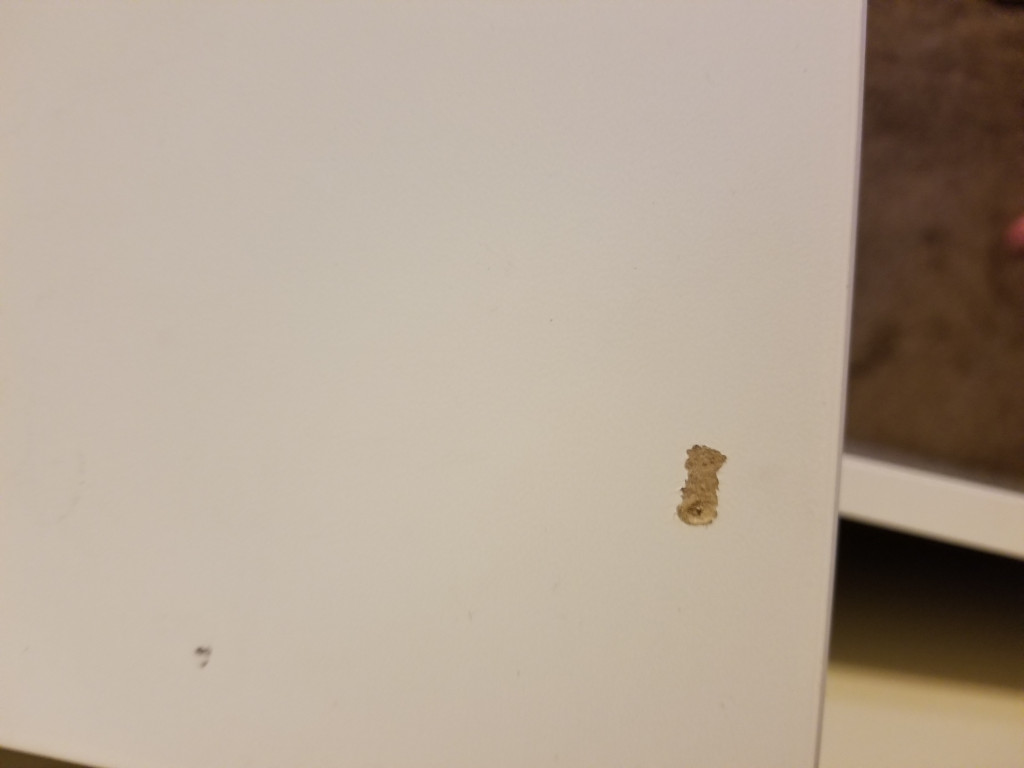 Photo by Carly Bohanos of Good Place Moving - Large