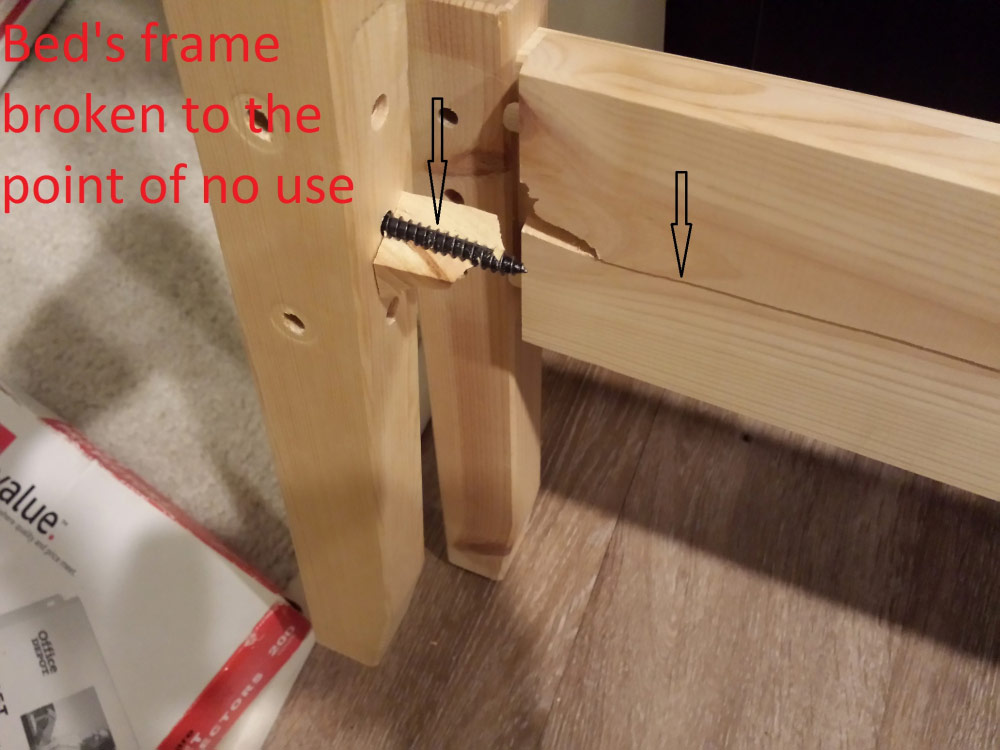 Second photo by Farhoud Kabirian of 1st Generation Moving - Large