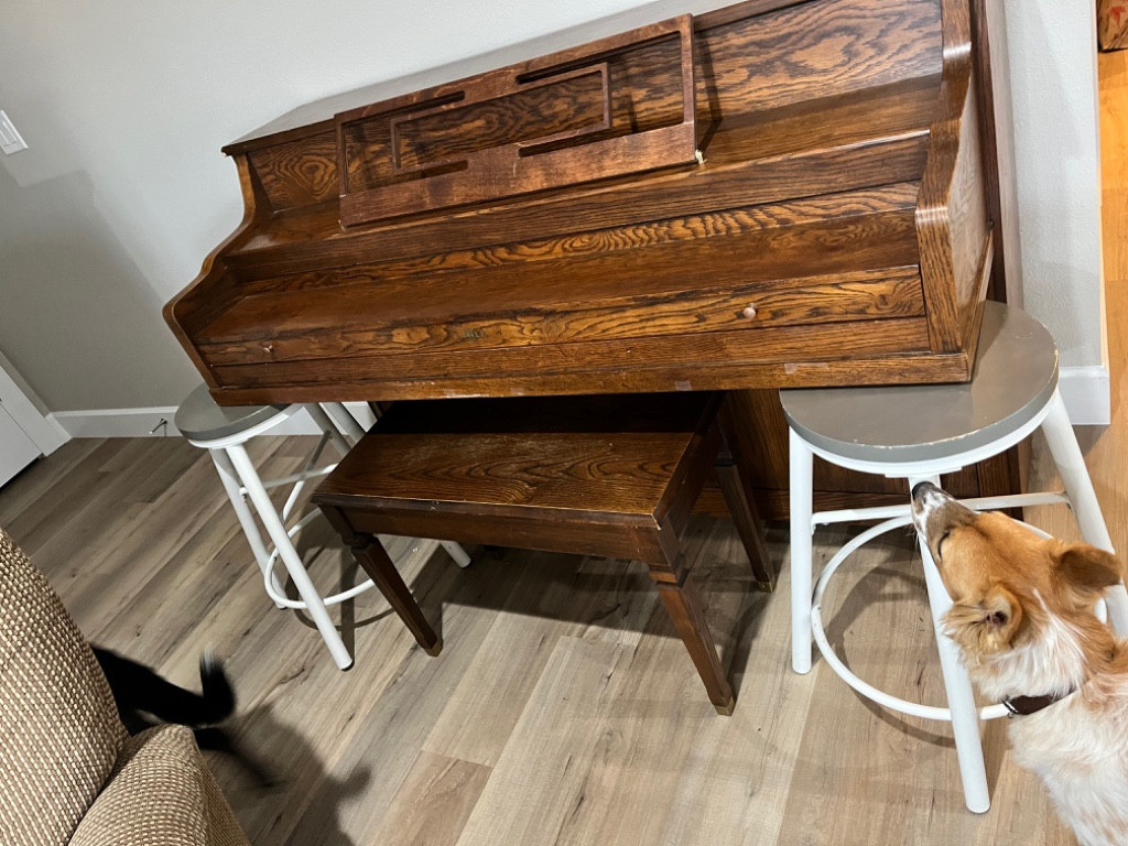 Photo by Jessica Thurman of American Plus Moving and Storage - Large